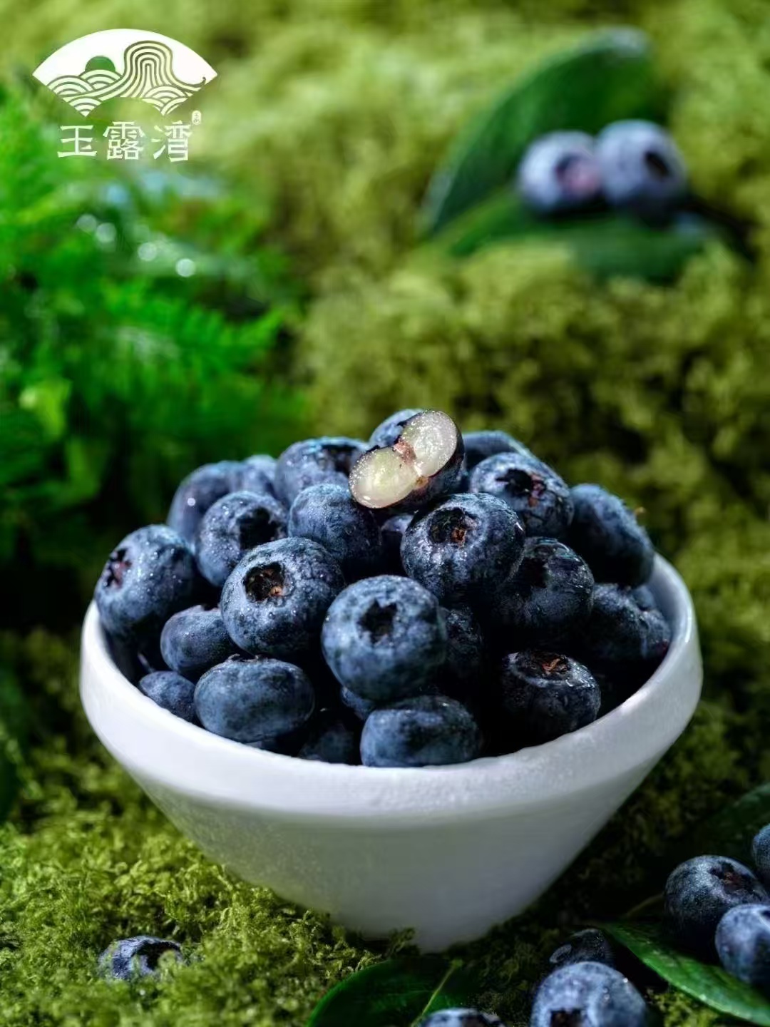 PP电子模拟器(试玩游戏)官方网站